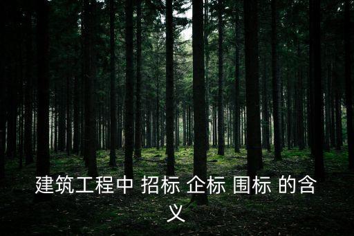 建筑工程中 招標(biāo) 企標(biāo) 圍標(biāo) 的含義