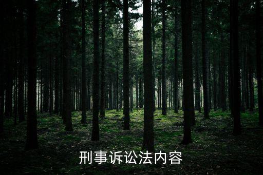 刑事訴訟法內(nèi)容