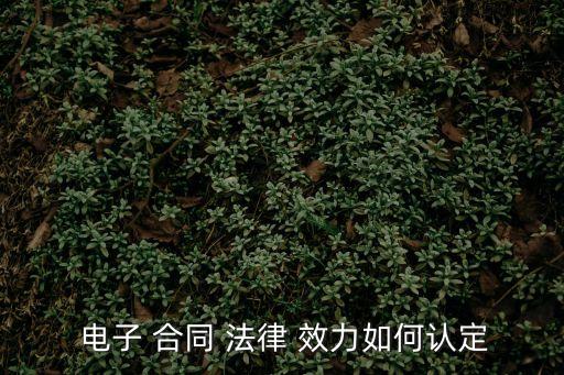  電子 合同 法律 效力如何認定