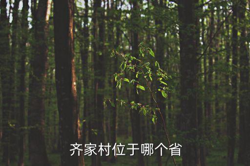 齊家村