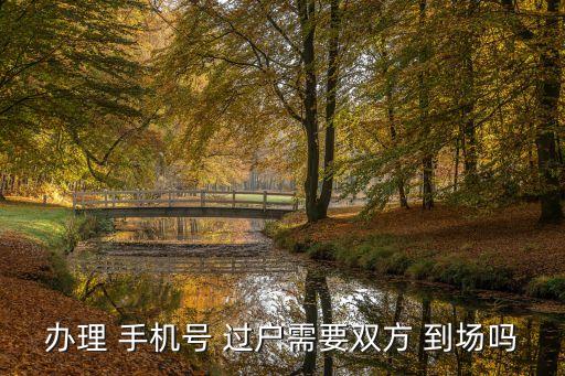 手機(jī)號(hào)過戶兩個(gè)人都必須到場嗎,移動(dòng)手機(jī)號(hào)過戶兩個(gè)人都必須到場嗎