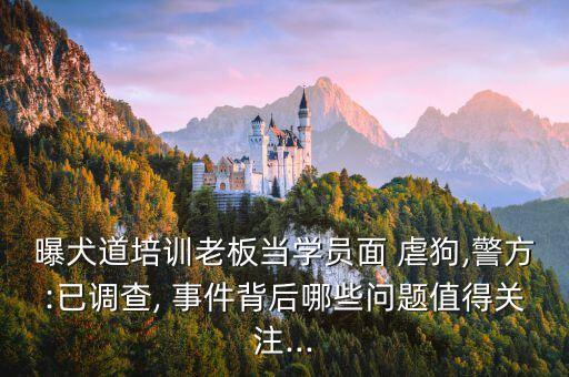 虐狗事件,你如何看待虐貓虐狗事件