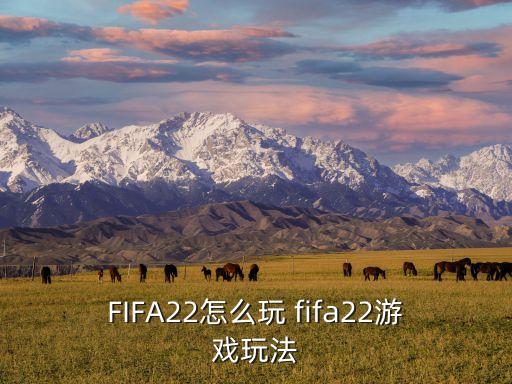 fifa22生涯怎么看合同,FIFA球員生涯怎么看合同