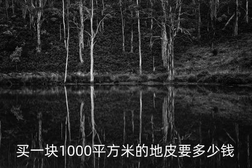 買一塊1000平方米的地皮要多少錢