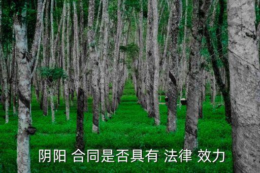 什么是陰陽(yáng)合同其法律效力