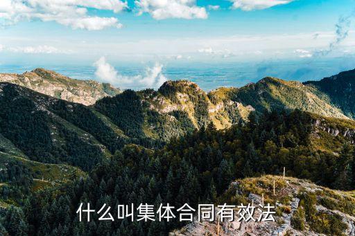 集體合同，什么叫集體合同