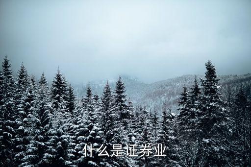 證券業(yè)，證券行業(yè)都干什么