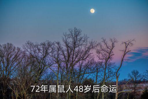 72年屬鼠人48歲后命運