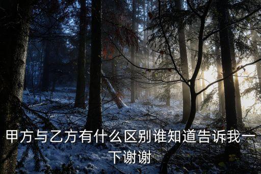 甲方與乙方有什么區(qū)別誰知道告訴我一下謝謝