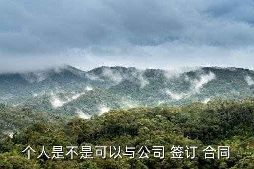 個(gè)人是不是可以與公司 簽訂 合同
