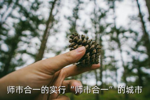 農(nóng)十四師,新疆生產(chǎn)建設(shè)兵團(tuán)農(nóng)十四師