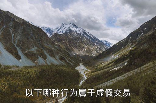 以下哪種行為屬于虛假交易