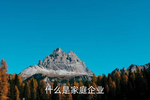 什么是家庭企業(yè)