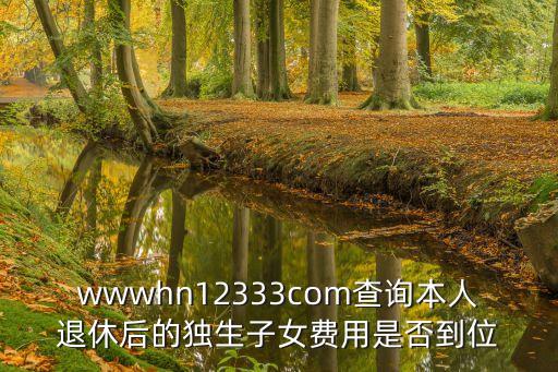 獨(dú)生子女費(fèi)查詢網(wǎng)，獨(dú)生子女信息哪里能查詢