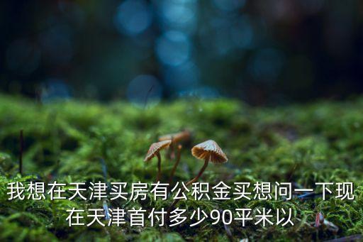 我想在天津買房有公積金買想問一下現(xiàn)在天津首付多少90平米以