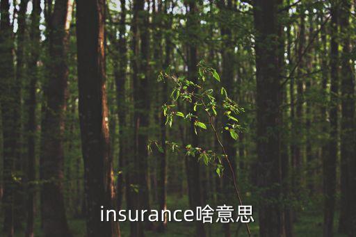 insurance，insurance是什么意思及反義詞