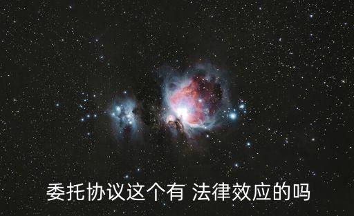 委托合同法律效果承擔(dān)什么責(zé)任