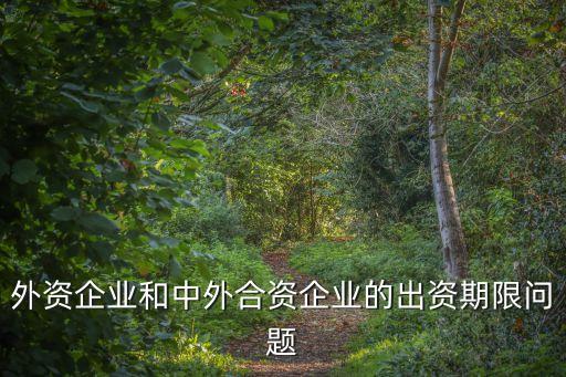 外資企業(yè)和中外合資企業(yè)的出資期限問題
