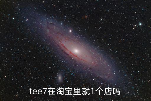 tee7在淘寶里就1個(gè)店嗎