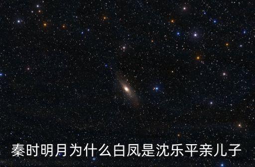 沈樂平，秦時明月總導演