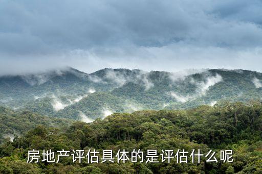 房屋評(píng)估，房地產(chǎn)評(píng)估具體的是評(píng)估什么呢