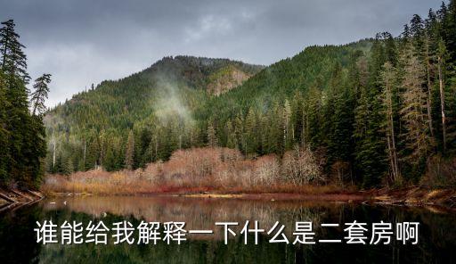 誰能給我解釋一下什么是二套房啊