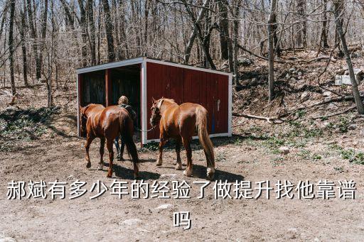 郝斌有多少年的經(jīng)驗了做提升找他靠譜嗎
