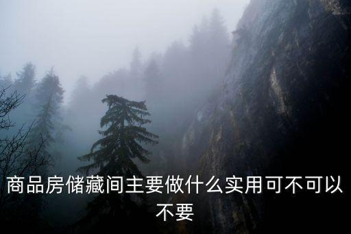 儲(chǔ)藏間，怎么設(shè)計(jì)儲(chǔ)藏室