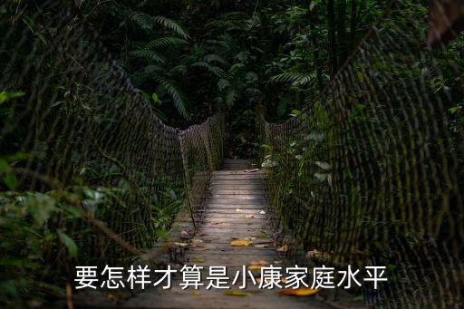 要怎樣才算是小康家庭水平