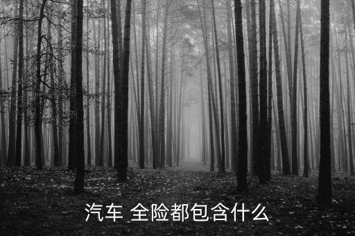汽車 全險(xiǎn)都包含什么