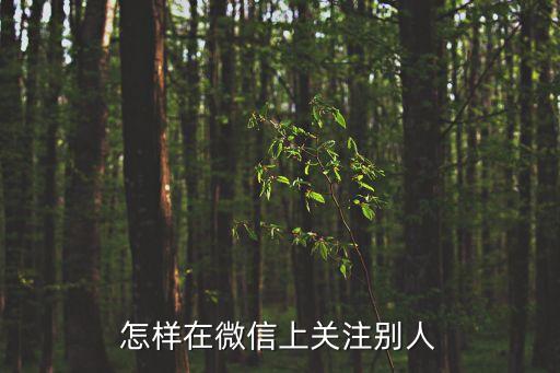 怎樣在微信上關(guān)注別人