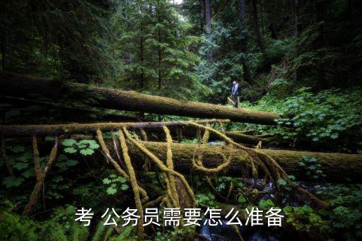 怎樣才能考公務員,大專生怎么報考公務員