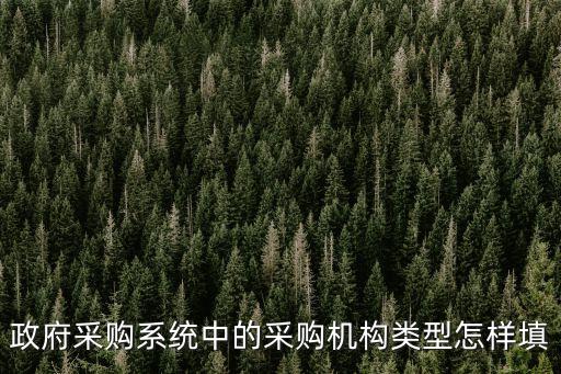 集中采購機構(gòu)，政府采購系統(tǒng)中的采購機構(gòu)類型怎樣填