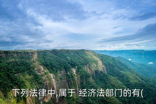 下列法律中,屬于 經(jīng)濟法部門的有(