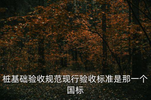 驗收標準，樁基礎(chǔ)驗收規(guī)范現(xiàn)行驗收標準是那一個國標