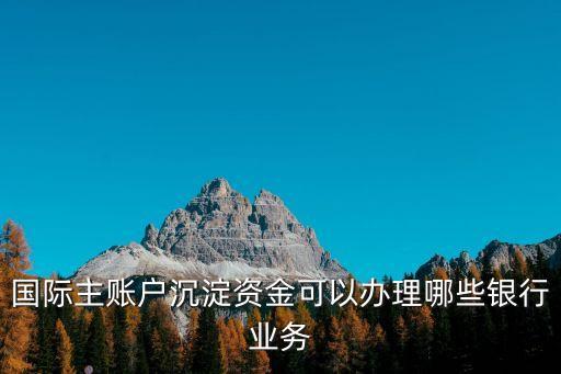 國際主賬戶沉淀資金可以辦理哪些銀行業(yè)務(wù)