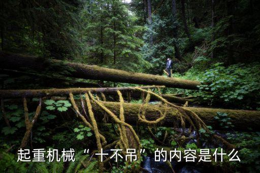 起重機械“ 十不吊”的內(nèi)容是什么
