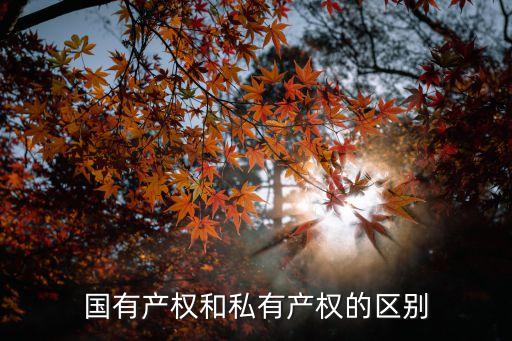 國(guó)有房產(chǎn)，房屋產(chǎn)權(quán)是國(guó)有資產(chǎn)可以直接買(mǎi)賣(mài)個(gè)人嗎
