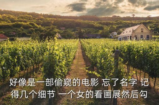 好像是一部偷窺的電影 忘了名字 記得幾個(gè)細(xì)節(jié) 一個(gè)女的看畫展然后勾