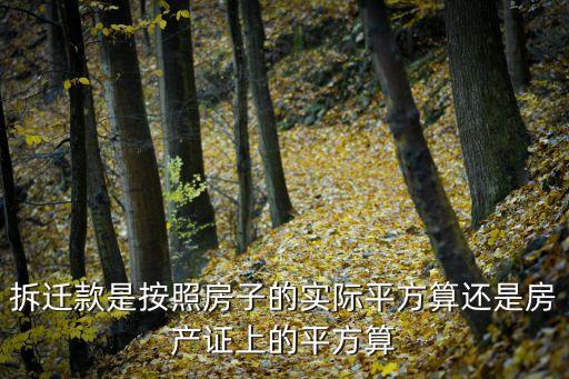 拆遷款是按照房子的實(shí)際平方算還是房產(chǎn)證上的平方算