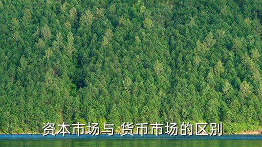 資本市場(chǎng)與 貨幣市場(chǎng)的區(qū)別