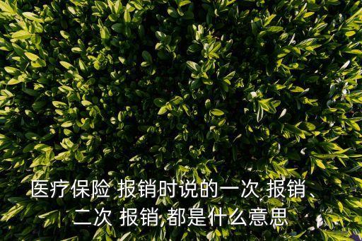 醫(yī)療保險 報銷時說的一次 報銷、 二次 報銷,都是什么意思