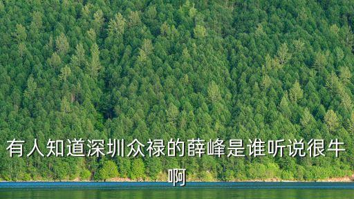 有人知道深圳眾祿的薛峰是誰聽說很牛啊