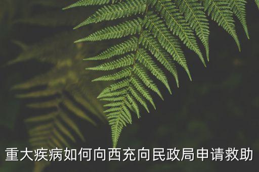 民政大病救助，民政局大病救濟需要什么手續(xù)