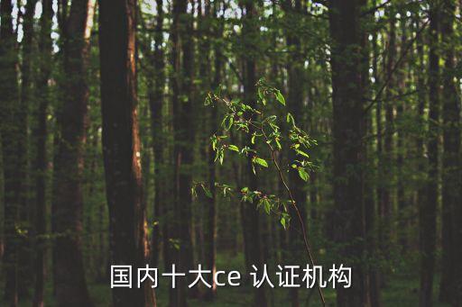 國(guó)內(nèi)十大ce 認(rèn)證機(jī)構(gòu)