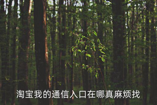 淘寶我的通信入口在哪真麻煩找