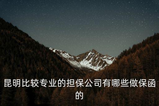 昆明比較專業(yè)的擔(dān)保公司有哪些做保函的
