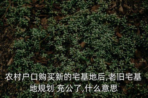 農(nóng)村戶口購買新的宅基地后,老舊宅基地規(guī)劃 充公了,什么意思