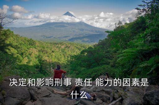 決定和影響刑事 責(zé)任 能力的因素是什么