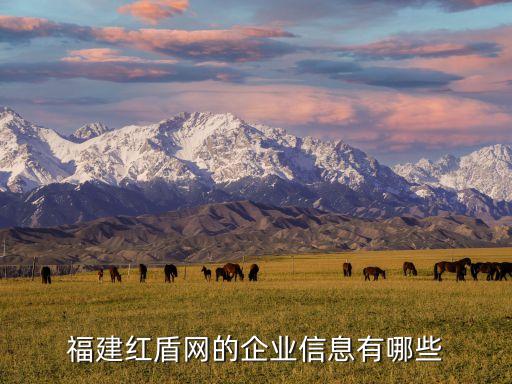 福建紅盾網(wǎng)的企業(yè)信息有哪些